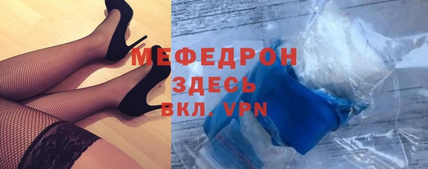 индика Инсар