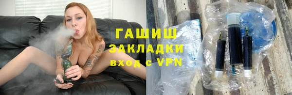 индика Инсар