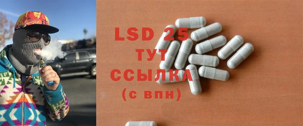 индика Инсар