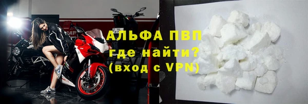 PSILOCYBIN Инта