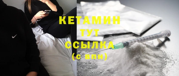индика Инсар