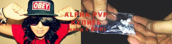 PSILOCYBIN Инта