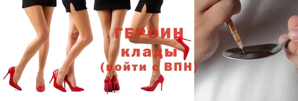 индика Инсар
