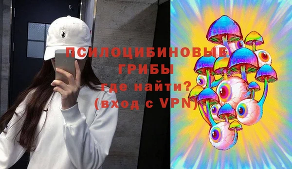 индика Инсар