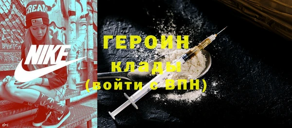 индика Инсар
