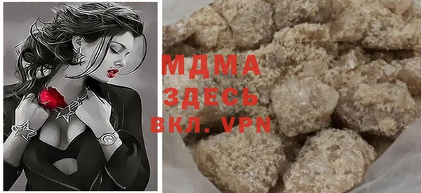 индика Инсар