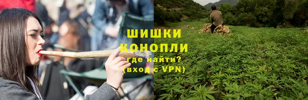 PSILOCYBIN Инта