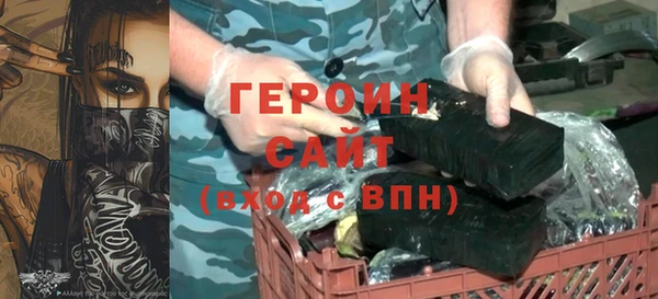 индика Инсар