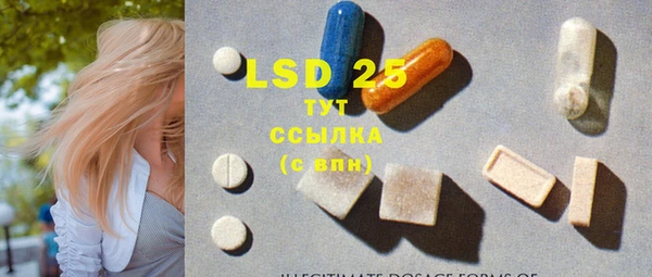 индика Инсар