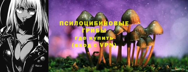 индика Инсар