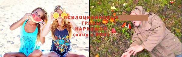 индика Инсар