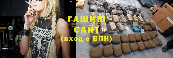 индика Инсар