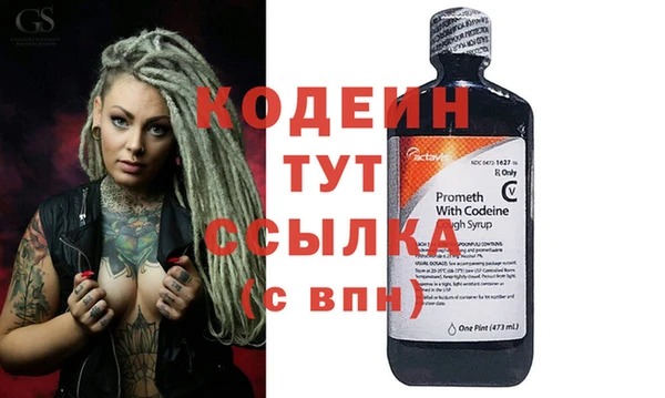 индика Инсар