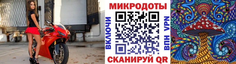 Псилоцибиновые грибы GOLDEN TEACHER  Купить где  Тайшет 