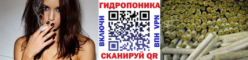 Бошки марихуана сатива Тайшет